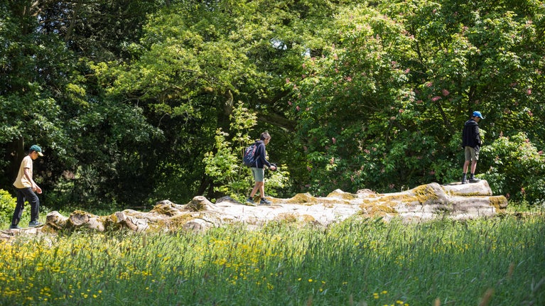 Three visitors walking along a log in the grounds of Lacock Abbey, Wiltshire